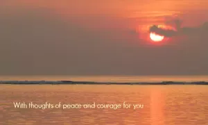 How to write beautiful words of comfort for sympathy when you have a loved one to console. Expressions for all types of losses.   
