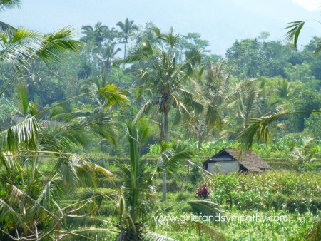 how to write a goodbye speech for a funeral palm trees