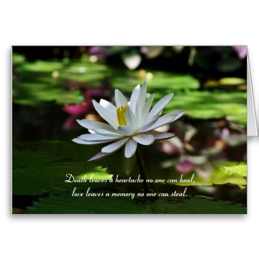 sympathy card with waterlily and quote death leaves a heartache no one can heal love - Bulk Sympathy Cards sympathy card with waterlily and quote death leaves a heartache no one can heal love - Bulk Sympathy Cards