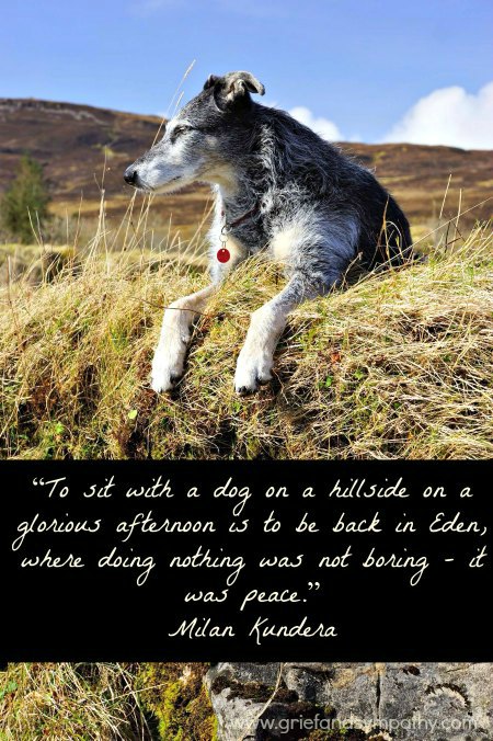 Dog Sympathy Card with Milan Kundera Quote To sit with a dog on a hillside on a glorious afternoon is to be back in Eden, where doing nothing was not boring - it was peace
