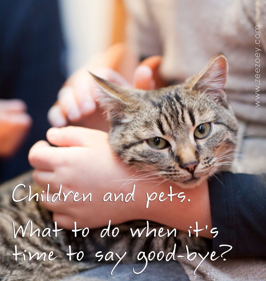 Child with Cat and Text What to do when it's time to say goodbye?