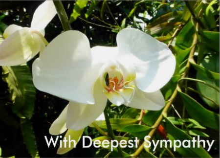 With Deepest Sympathy Card with Cream Orchid