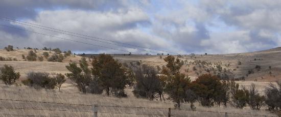 Cold landscape and clouds reflecting the grief of the loss of a parent