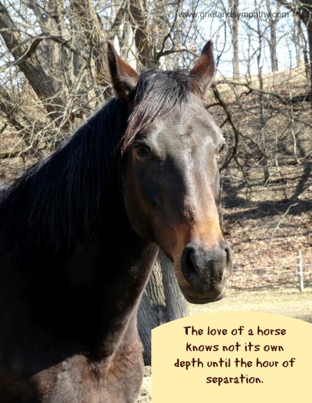 horse sympathy card with quote - The love of a horse knows not its own depth until the hour of separation