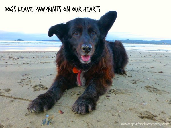 Pet loss card - Dogs leave pawprints on our hearts