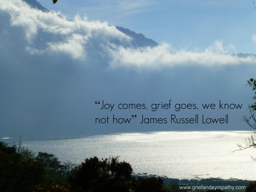 Quote - Joy  Comes, Grief Goes