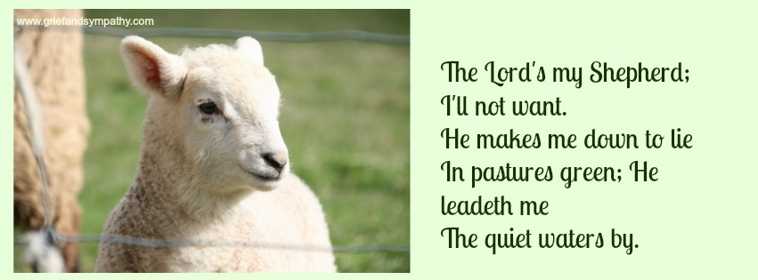 Lamb with Lyrics to The Lord's My Shepherd
