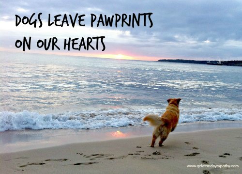 Dogs leave pawprints on our hearts greetings card