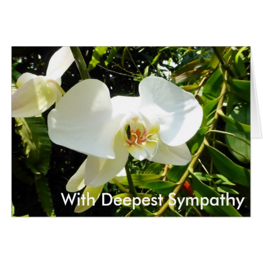 Cream Orchid With Deepest Sympathy Card