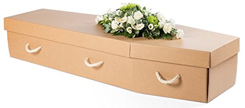 Plain Cardboard Coffin