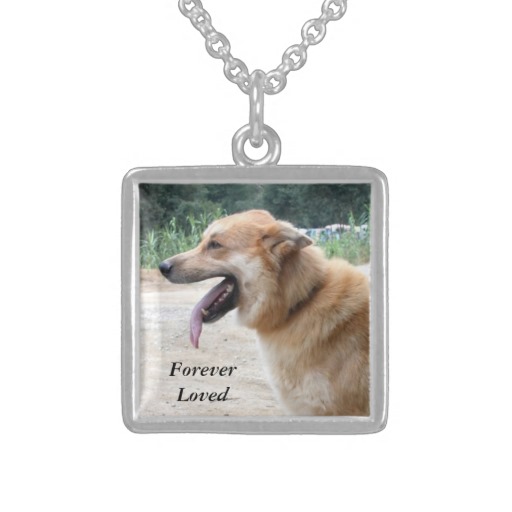 Silver Pet Memorial Pendant with Photo