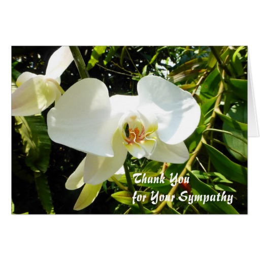 Thank you for your sympathy card with orchid