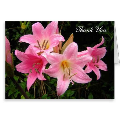 Thank You Card with Pink Lilies