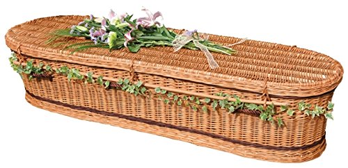 Green Coffin - Willow - The Coffin Company