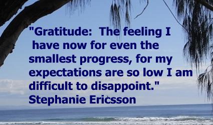 gratitude quote by Stephanie Ericsson