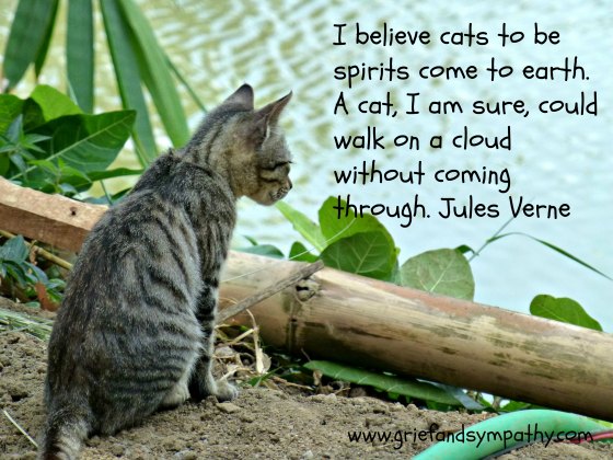 Cat Sympathy Card with Jules Verne quote - I believe cats to be spirits come to earth