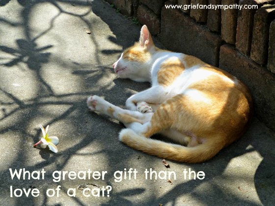 Cat Greetings Card with Quote - What greater gift than the love of a cat?