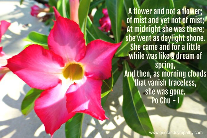 Po Chu I Poem about miscarriage or loss of a child.  A Flower and not a Flower.