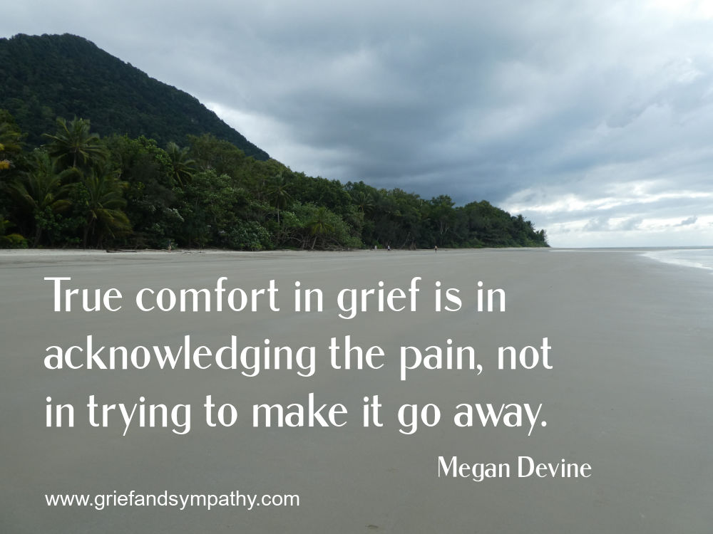 True comfort in grief is in acknowledging the pain - quote by Megan Devine