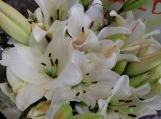 white lilies for grief