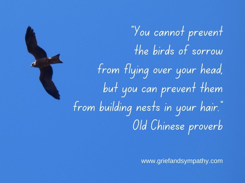 Old Chinese Proverb - You cannot prevent the birds of sorrow