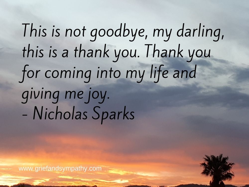 Nicholas Sparks This is not goodbye my darling Nicholas Sparks This is not goodbye my darling
