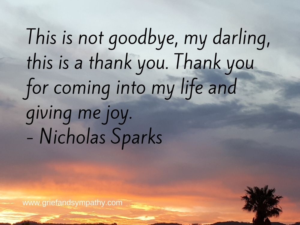 Nicholas Sparks This is not goodbye my darling