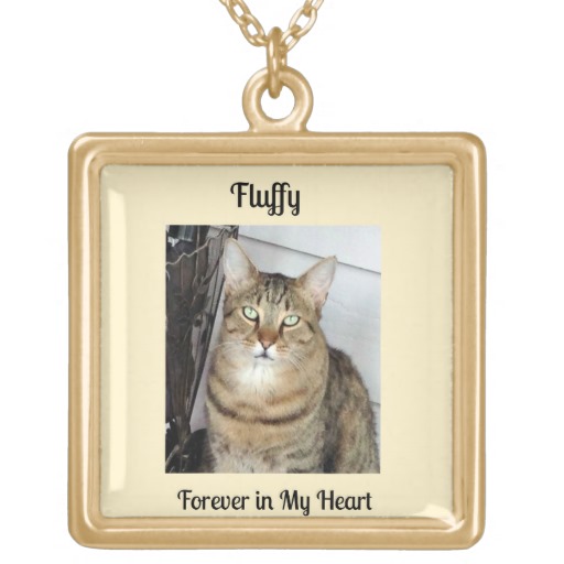 Gold Tone Photo Necklace for Loss of a Cat