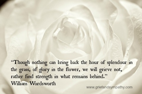 Wordsworth Quote on White Rose