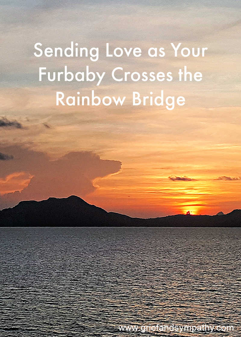 Rainbow Bridge sympathy card for pet, with dog shaped cloud