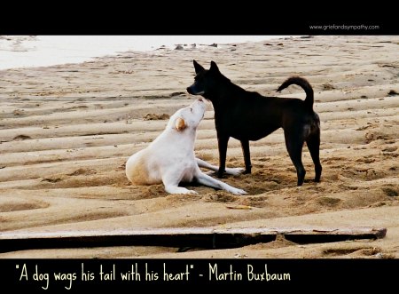 A dog wags his tail with his heart.  Pet loss card.