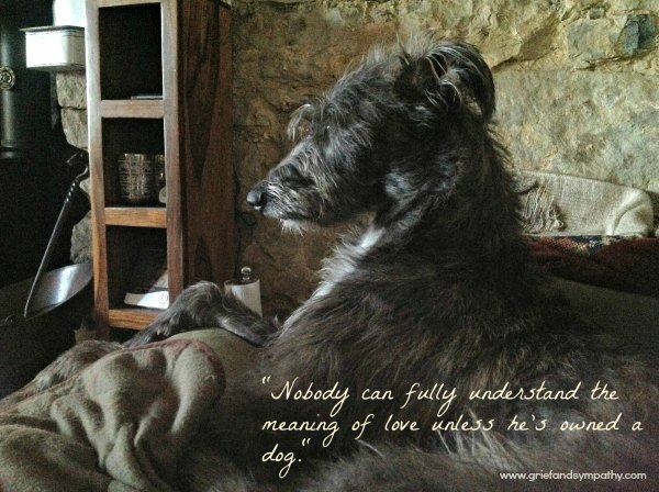 Dog Greeting Card - Nobody can fully understand the meaning of love unless he's owned a dog