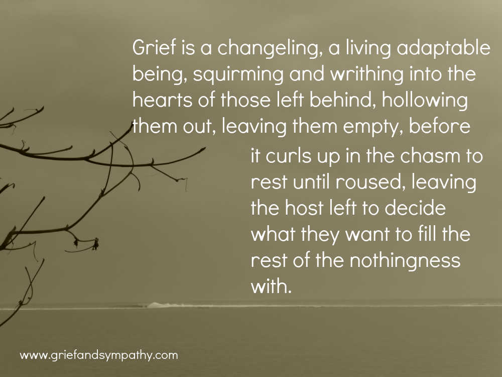 Grieving for my brother - meme - grief is a changeling
