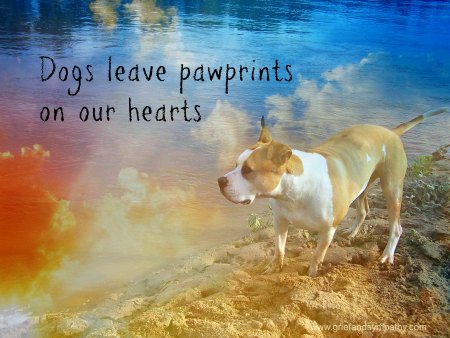 Pet loss greeting card - Dogs Leave pawprints on our hearts