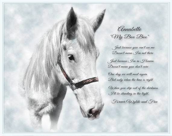 Losing A Horse Quotes Horse Sympathy Quotes - Moving And Uplifting