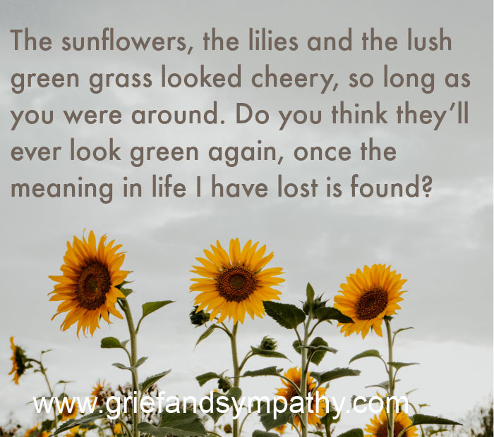 Meme - The sunflowers, the lilies and the lush green grass looked cheery, so long as you were around. Do you think they’ll ever look green again, once the meaning in life I have lost is found?