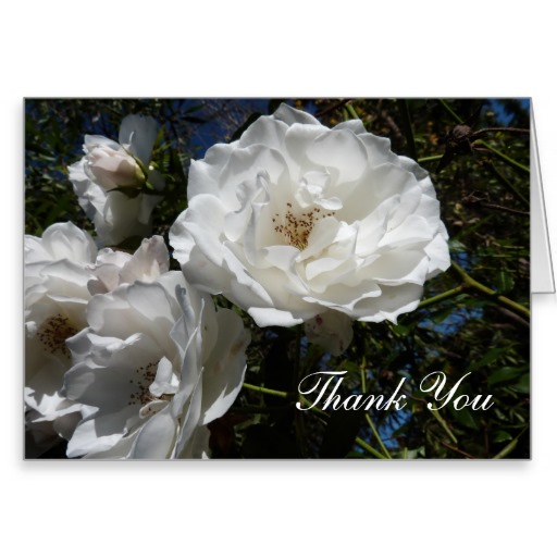 Thank You Card with White Roses