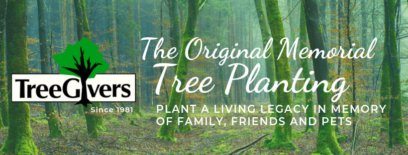 Whether you are sending memorial trees for loved ones to plant or buying a tree yourself we bring you the best choices. 
