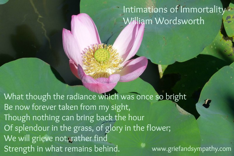 Wordsworth Intimations of Immortality Poem