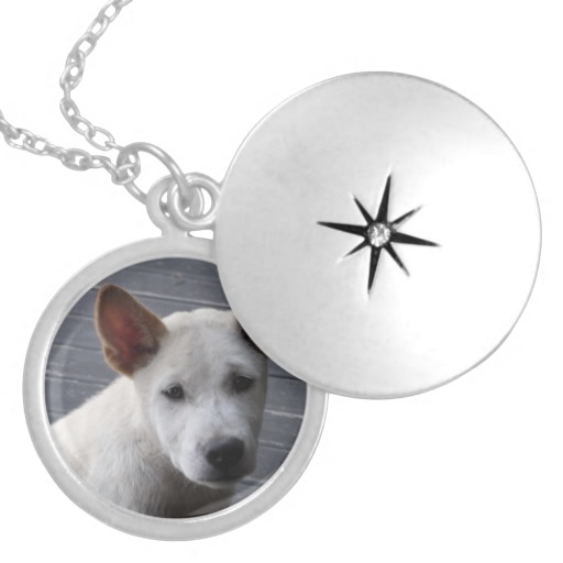 Silver Plated Locket with Photo of Puppy