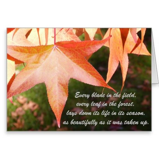 Every Blade in the Field Quote - Card to use with a sample sympathy letter