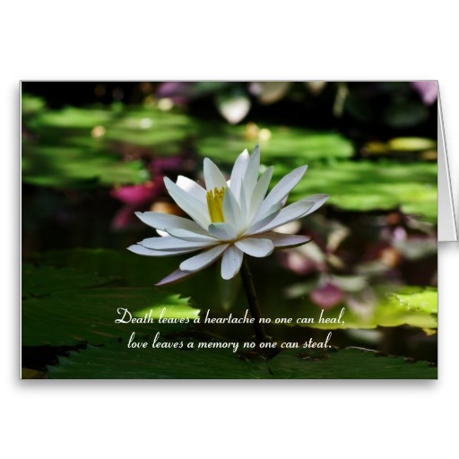 Sympathy Card with WaterLily and Quote Death leaves a heartache no one can heal, love leaves a memory no-one can steal