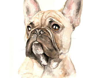 Custom Pug Portrait from Photo