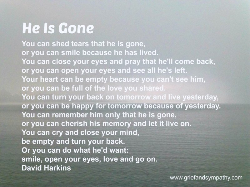 He is Gone by David Harkins