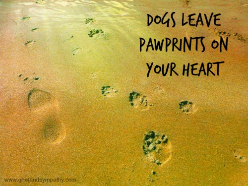 Pawprints in the Sand Dog Sympathy Card