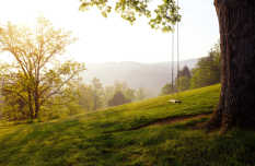 An empty swing for remembrance of a loved one.