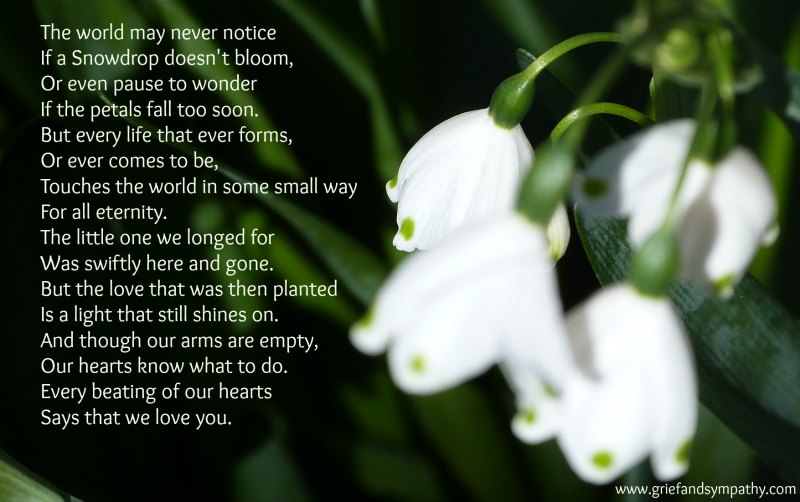 Miscarriage Poem - Little Snowdrop - with background of snowdrop flowers